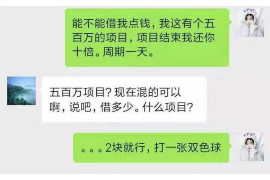 沧浪为什么选择专业追讨公司来处理您的债务纠纷？